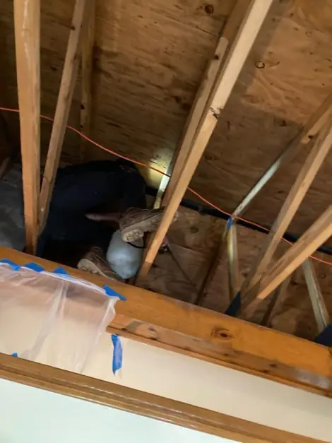 Floor joists with plastic containment taped in place