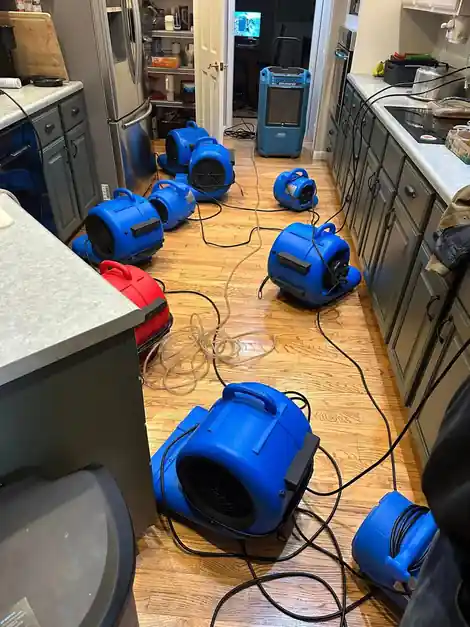 A kitchen full of blue air movers and a dehumidifier drying the hardwood floor