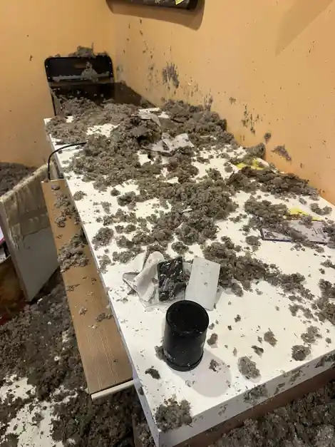 Kitchen counter covered in fallen insulation after a ceiling collapse